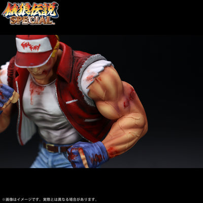 Fatal Fury Special the King of Collectors' 24 Ex - Terry Bogard Hg Damage Ver.