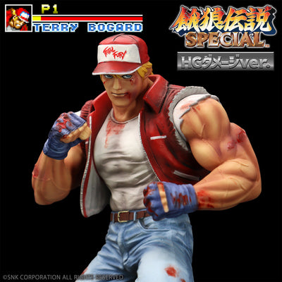 Fatal Fury Special the King of Collectors' 24 Ex - Terry Bogard Hg Damage Ver.