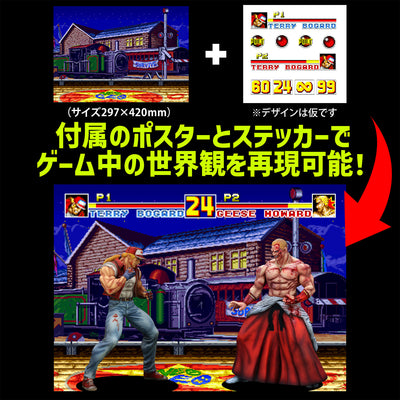 Fatal Fury Special the King of Collectors' 24 Ex - Terry Bogard Hg Damage Ver.