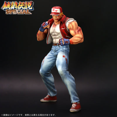 Fatal Fury Special the King of Collectors' 24 Ex - Terry Bogard Hg Damage Ver.