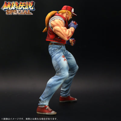 Fatal Fury Special the King of Collectors' 24 Ex - Terry Bogard Hg Damage Ver.