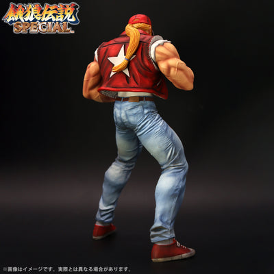 Fatal Fury Special the King of Collectors' 24 Ex - Terry Bogard Hg Damage Ver.