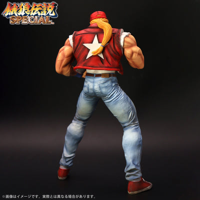 Fatal Fury Special the King of Collectors' 24 Ex - Terry Bogard Hg Damage Ver.