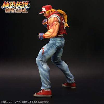 Fatal Fury Special the King of Collectors' 24 Ex - Terry Bogard Hg Damage Ver.