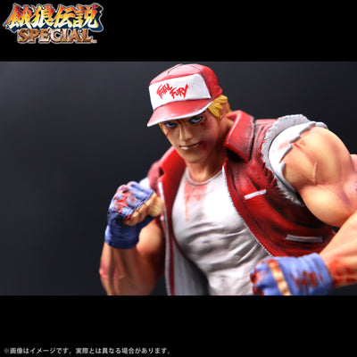 Fatal Fury Special the King of Collectors' 24 Ex - Terry Bogard Hg Damage Ver.
