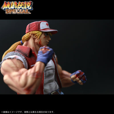 Fatal Fury Special the King of Collectors' 24 Ex - Terry Bogard Hg Damage Ver.