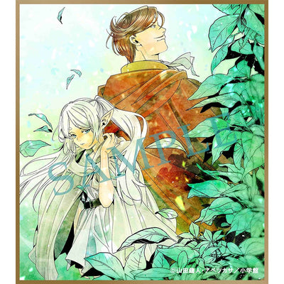 Frieren : Beyond Journey's End - Season 2 First Press Limited Edition Vol. 1 (Blu-Ray or DVD)
