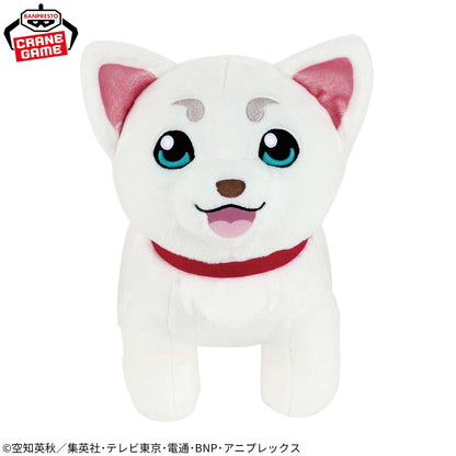 Gintama Super Mofugu Cuddly Plush - Sadaharu [Pre-Order Jan 2026]