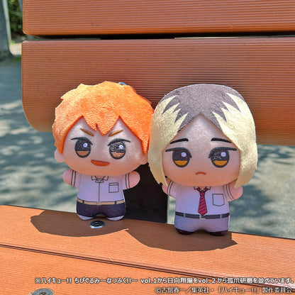 Haikyu!! - Chibigurumi Summer Clothes Vol. 1 Complete Set of 4 [Pre-Order Aug 2026]