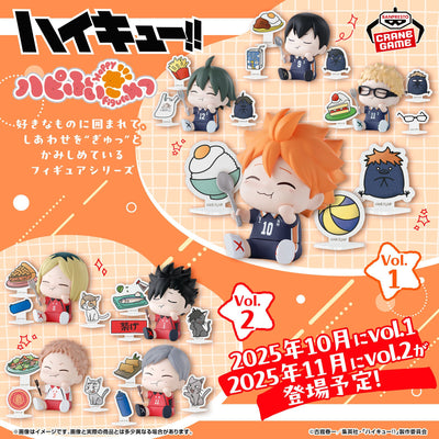 Haikyu!! Happy Figure - Tsukishima Hotaru