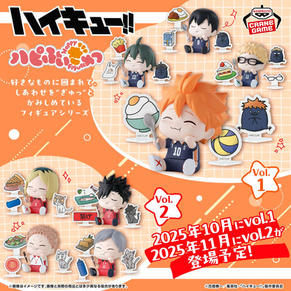 Haikyu!! Happy Figure - Tadashi Yamaguchi