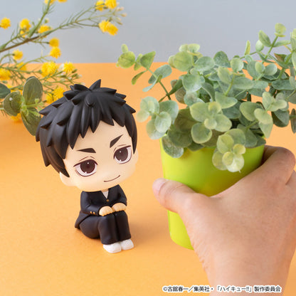 Haikyu!! Rukappu (Look Up) - Daichi Sawamura [Pre-Order Nov 2026]