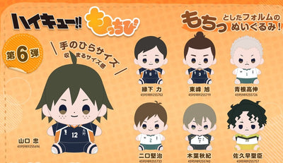 Haikyu!! Mochibi Plush - Plush (18 Types) [Pre-Order Aug 2026]