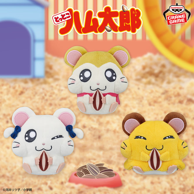 Hamtaro Mohimohi Plushes –  Pashmina, Bijou and Penelope Complete Set of 3 Types [Pre-Order Jun 2026]