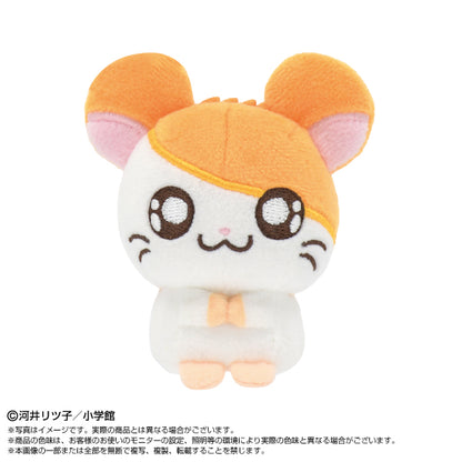 Hamtaro Purinui Petit Plush - Complete Set of 5 Types [Pre-Order Nov 2026]