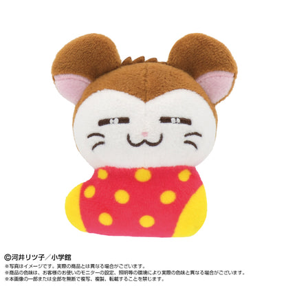 Hamtaro Purinui Petit Plush - Complete Set of 5 Types [Pre-Order Nov 2026]