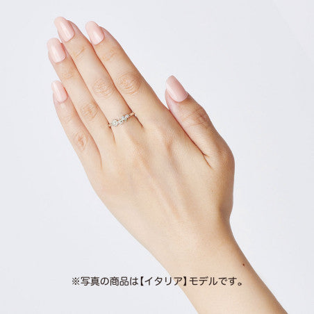 Hetalia World Stars - Silver Ring (12 Types) [Pre-Order May 2026]