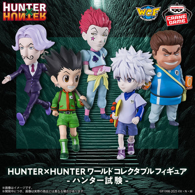 Hunter X Hunter World Collectible Figures - Hunter Exam