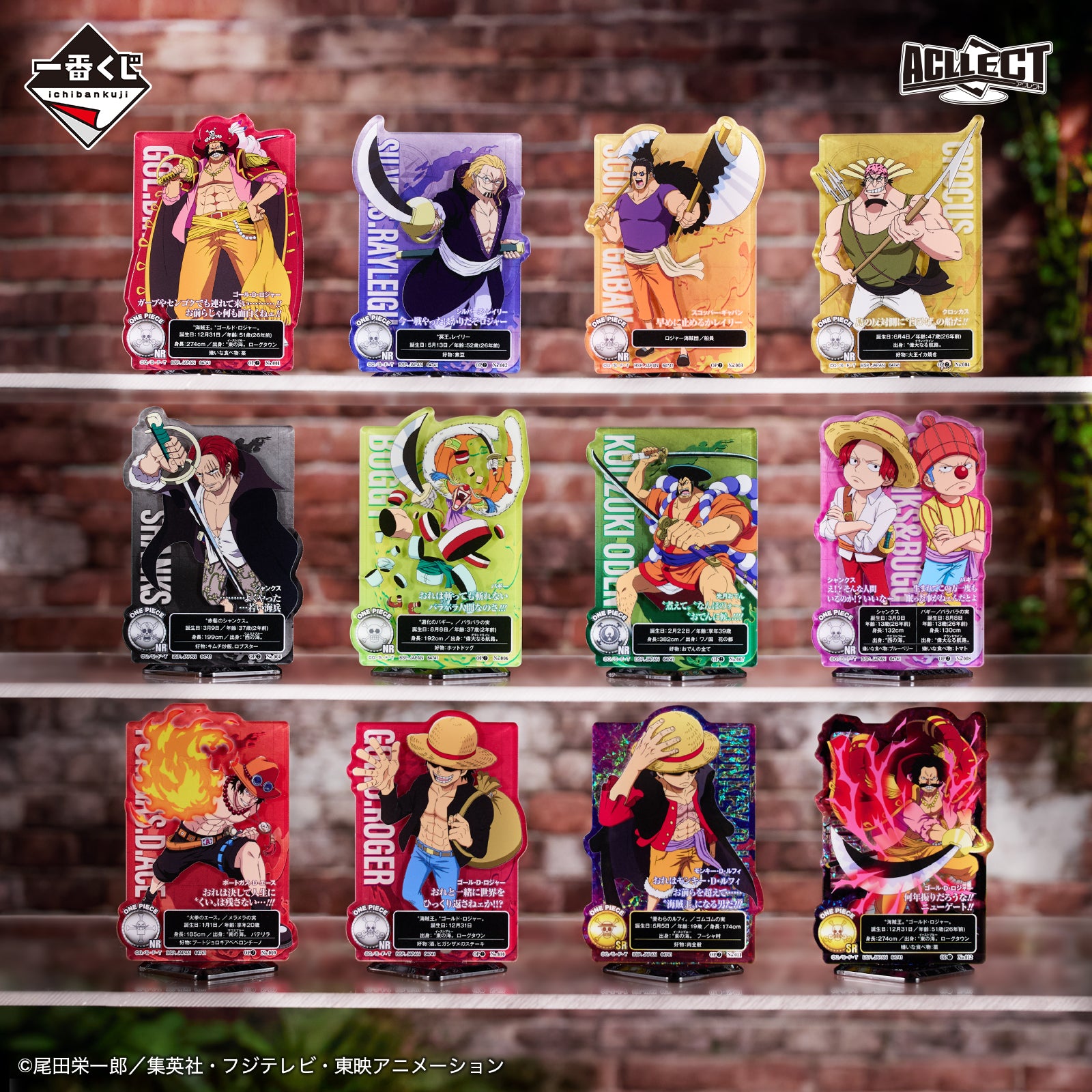 ICHIBAN KUJI ONE PIECE ROGER PIRATES LEGENDARY PIRATES - H PRIZE ACLLECT ONE PIECE ROGER PIRATES COMPLETE SET OF 12 TYPES