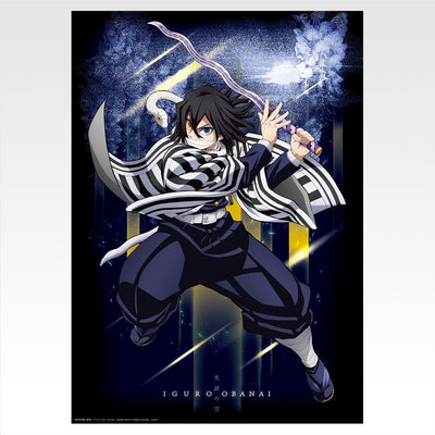 Ichiban Kuji Demon Slayer Kimetsu no Yaiba Brothers of Thunder - G Prize Poster Collection Complete Set of 15 Types