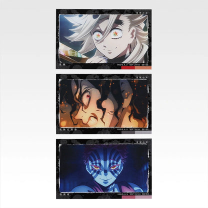 Ichiban Kuji Demon Slayer: Kimetsu no Yaiba Upper Rank Two - G Prize Photo Style Card Set Complete Set of 10 Types