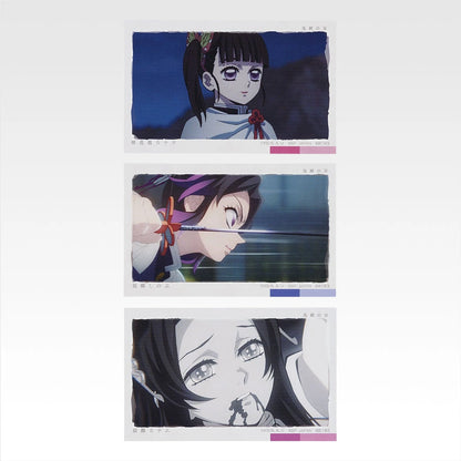 Ichiban Kuji Demon Slayer: Kimetsu no Yaiba Upper Rank Two - G Prize Photo Style Card Set Complete Set of 10 Types