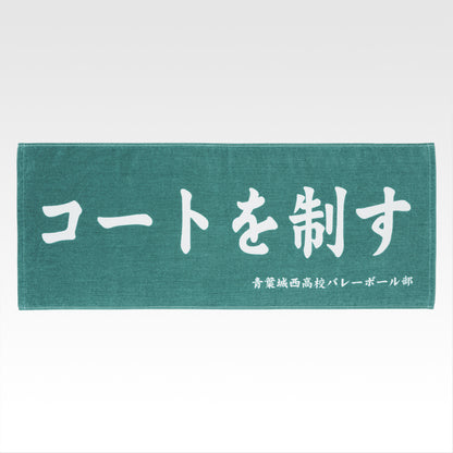 Ichiban Kuji Haikyu!! Road to the Nationals - D Prize Banner Towel Complete Set of 2 Types