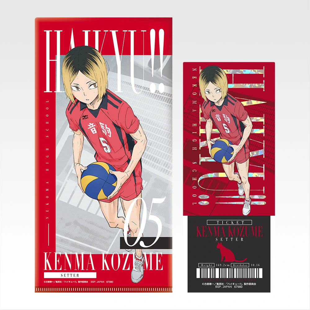 Ichiban Kuji Haikyu!! The Strongest Challenger - I Prize Ticket Case & Clear Card Complete Set of 9 Types