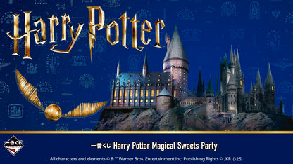 Ichiban Kuji Harry Potter Magical Sweets Party - Last Prize Birthday Cake Cushion