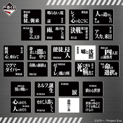 Ichiban Kuji Neon Genesis Evangelion 30th Anniversary - G Prize Clear File Set Complete Set of 13 Types