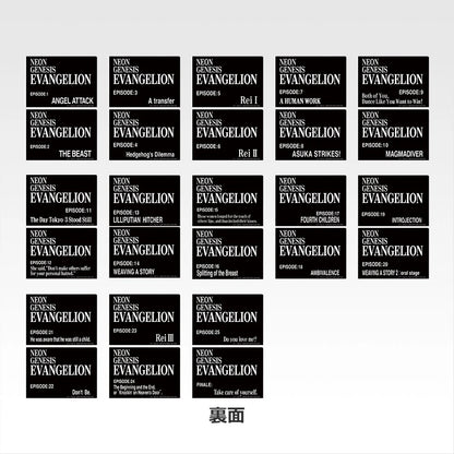 Ichiban Kuji Neon Genesis Evangelion 30th Anniversary - G Prize Clear File Set Complete Set of 13 Types