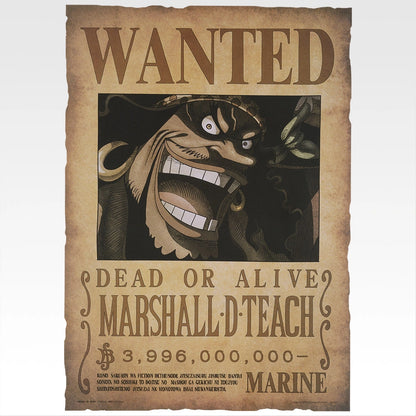 Ichiban Kuji One Piece Elbaf Arc Giant Bash!! Vol.1 - J Prize Wanted Poster Giant Vol.1 Complete Set of 9 Types