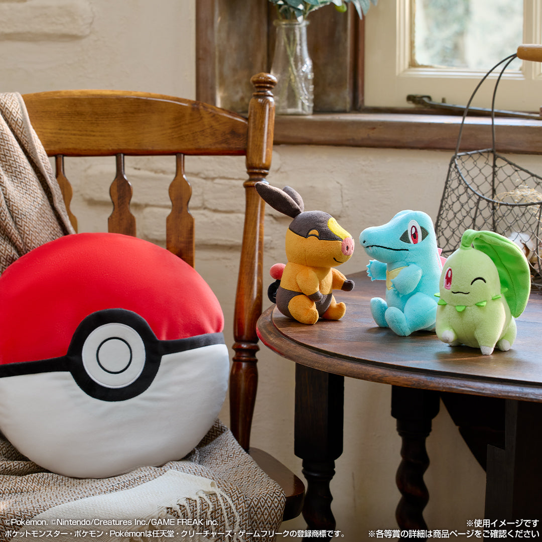 2025 Pokemon collectionクジ ラストワン賞 Ichiban Kuji Pokemon Collection 2025 Let's Go for A Walk - A Prize