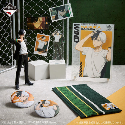 Ichiban Kuji Wind Breaker After the Battle - A Prize Haruka Sakura Figure