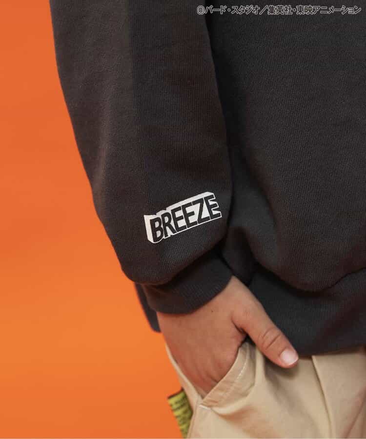 Dragon Ball x BREEZE Fashion Collection - Dragon Ball Collaboration Motif Kids Sweatshirts (2 Types) [Pre-Order Jan 2026]