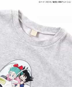 Dragon Ball x BREEZE Fashion Collection - Dragon Ball Collaboration Motif Adult Sweatshirts (2 Types) [Pre-Order Jan 2026]
