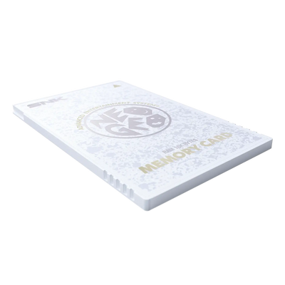 Japanese Version - NEOGEO AES+ Memory Card (2 Types) [Pre-Order Nov 2026 - Postponed to Sep 2027 by Manufacturer]