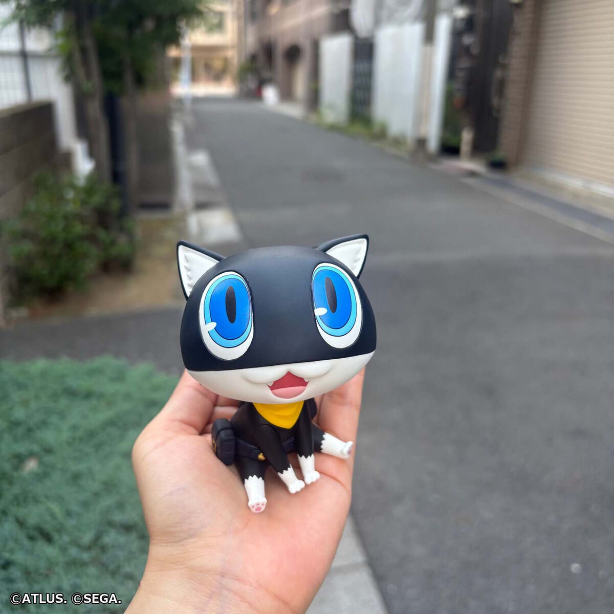 Persona 5 Rukappu (Look Up) - Morgana [Pre-Order April 2027]