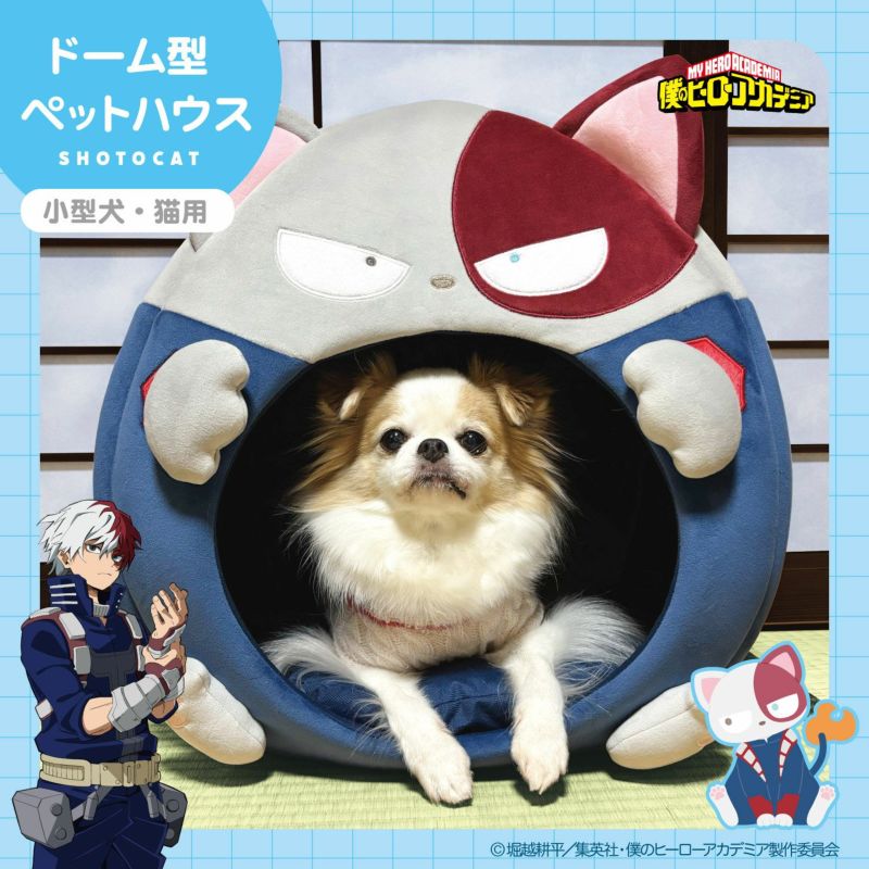 Ado Storage Box - Round One Exclusive (2 types) – JumpIchiban