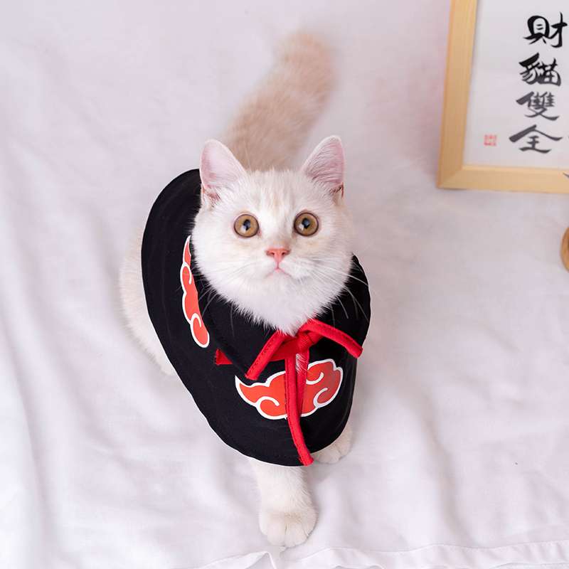Naruto - Akatsuki Cat Costume