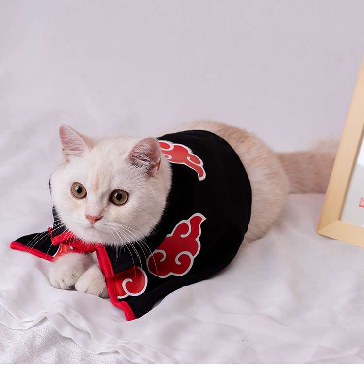 Naruto - Akatsuki Cat Costume