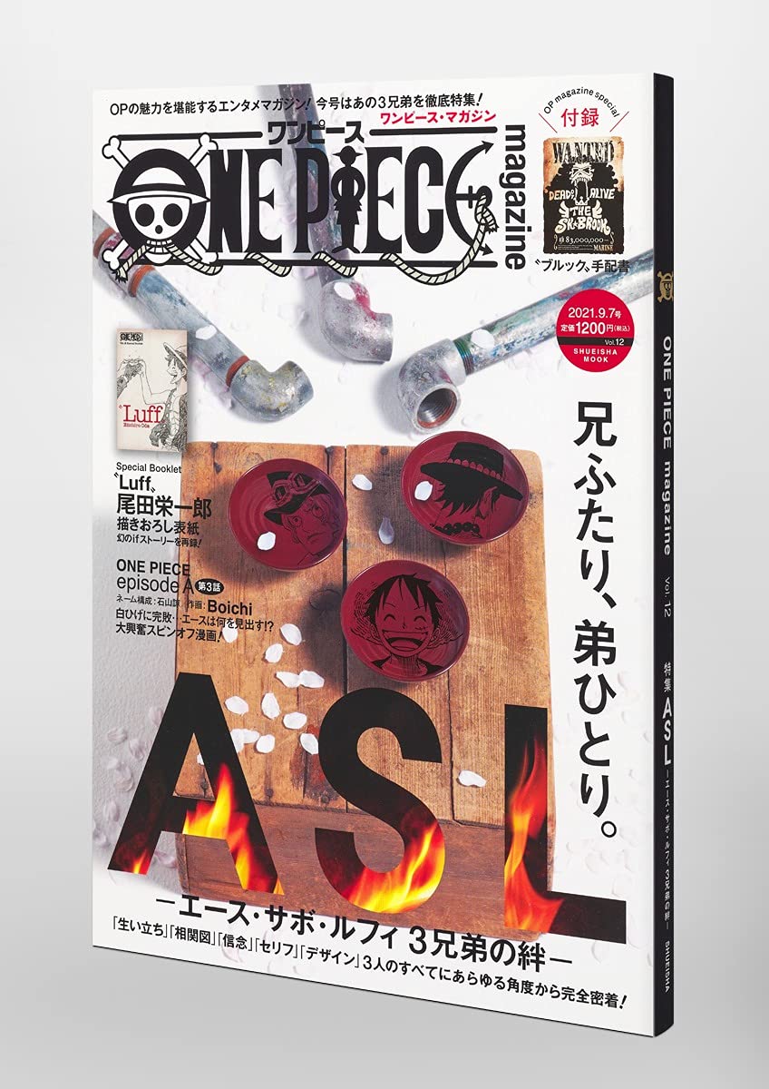 ONE PIECE magazine Vol.12