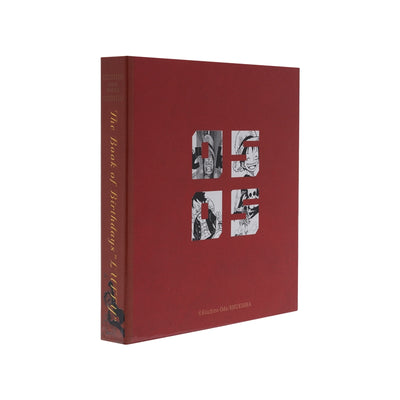 One Piece - Birthday Memorial Book: Monkey D. Luffy
