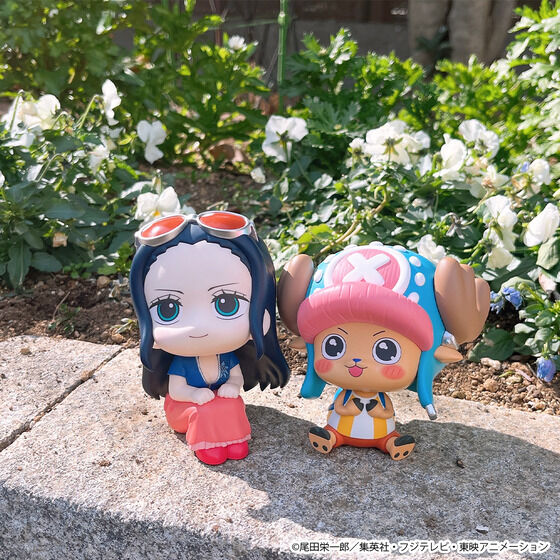 One Piece Rukappu (Look Up) - Nico Robin & Tony Tony Chopper Exciting Ver. Complete Set of 2 Types [Pre-Order Aug 2026]