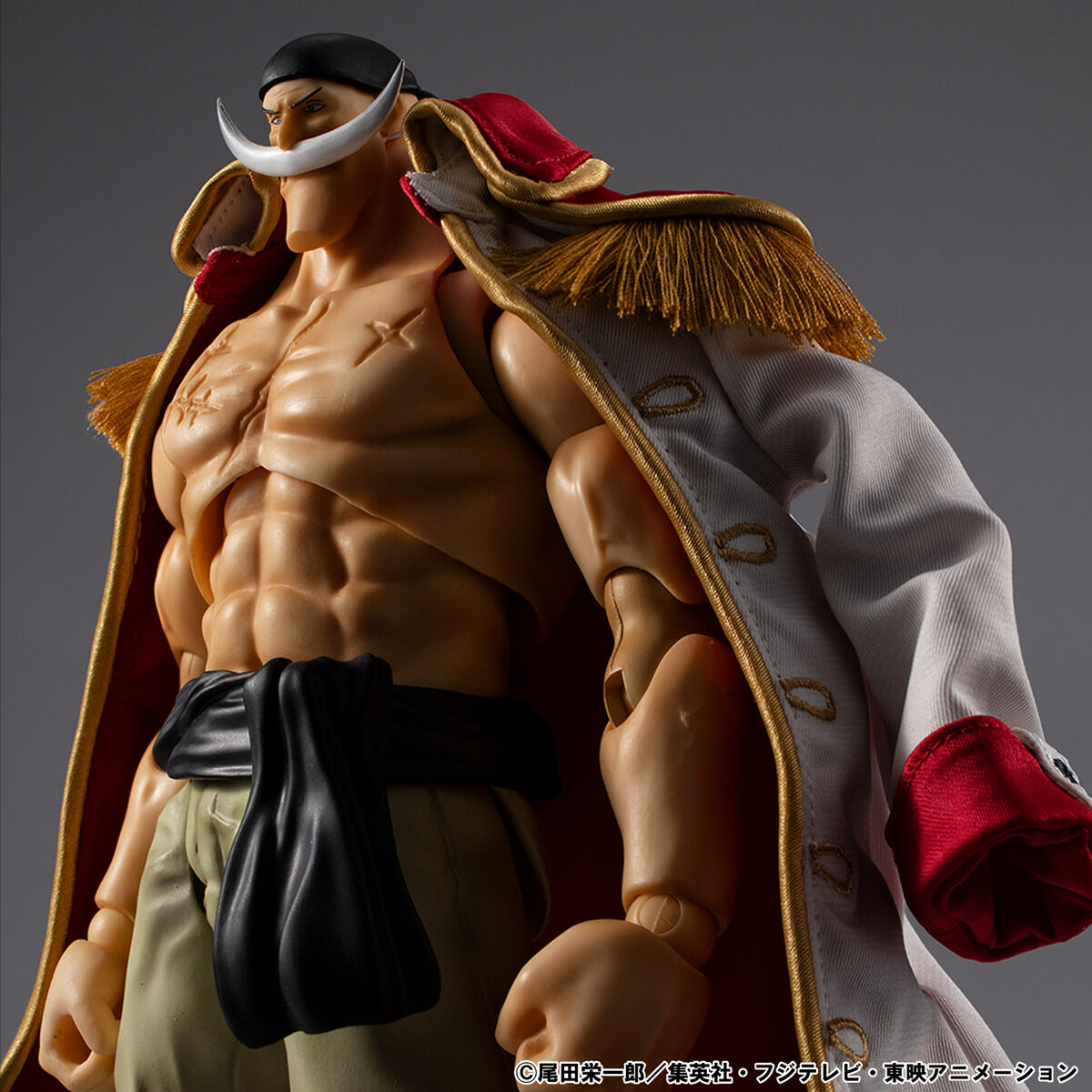 Ichiban Kuji One Piece Elbaf Arc Giant Bash!! Vol. 2 - D Prize