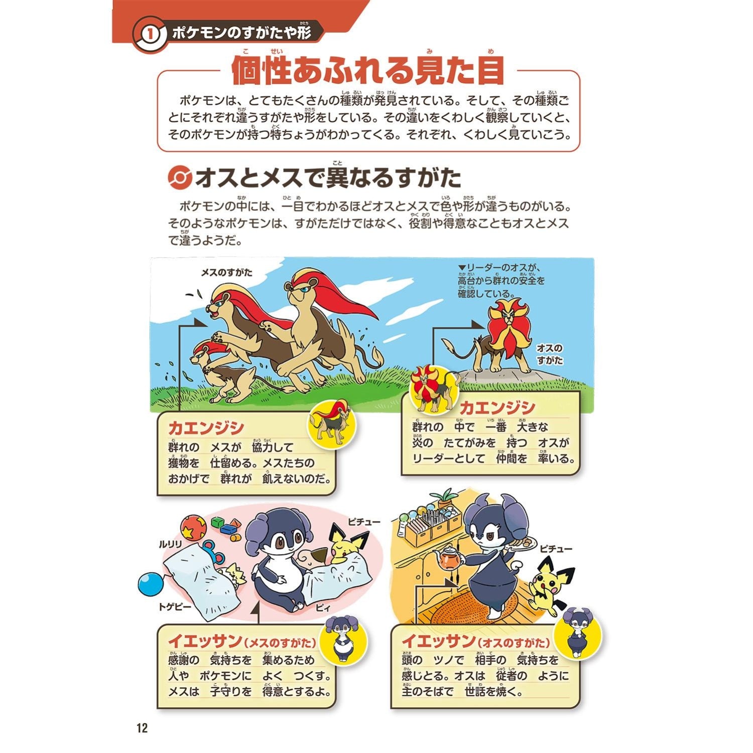 Pokemon Book - Pokemon Ecology Encyclopedia