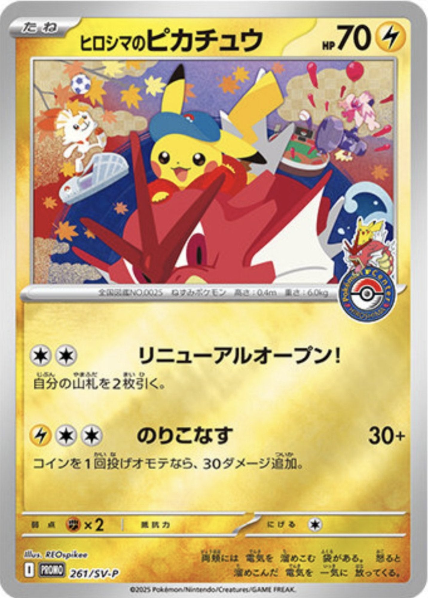 Pokemon Card Game