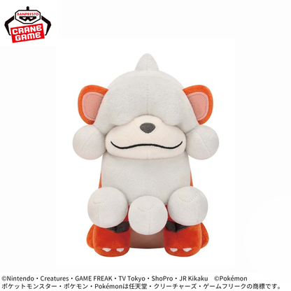 Pokemon Focus Regional Forms Plush Toys - Growlithe And Wooper (4 Types) [Pre-Order Jul 2026]