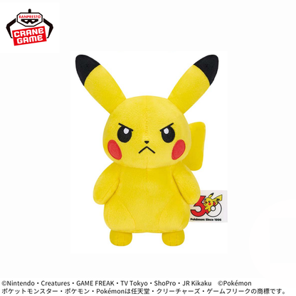 Pokemon Various Face Plushes - Pikachu 30th Anniversary (4 Types) [Pre-Order Jul 2026]