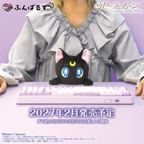 Pretty Guardian Sailor Moon - Plush Luna [Pre-Order Feb 2027]